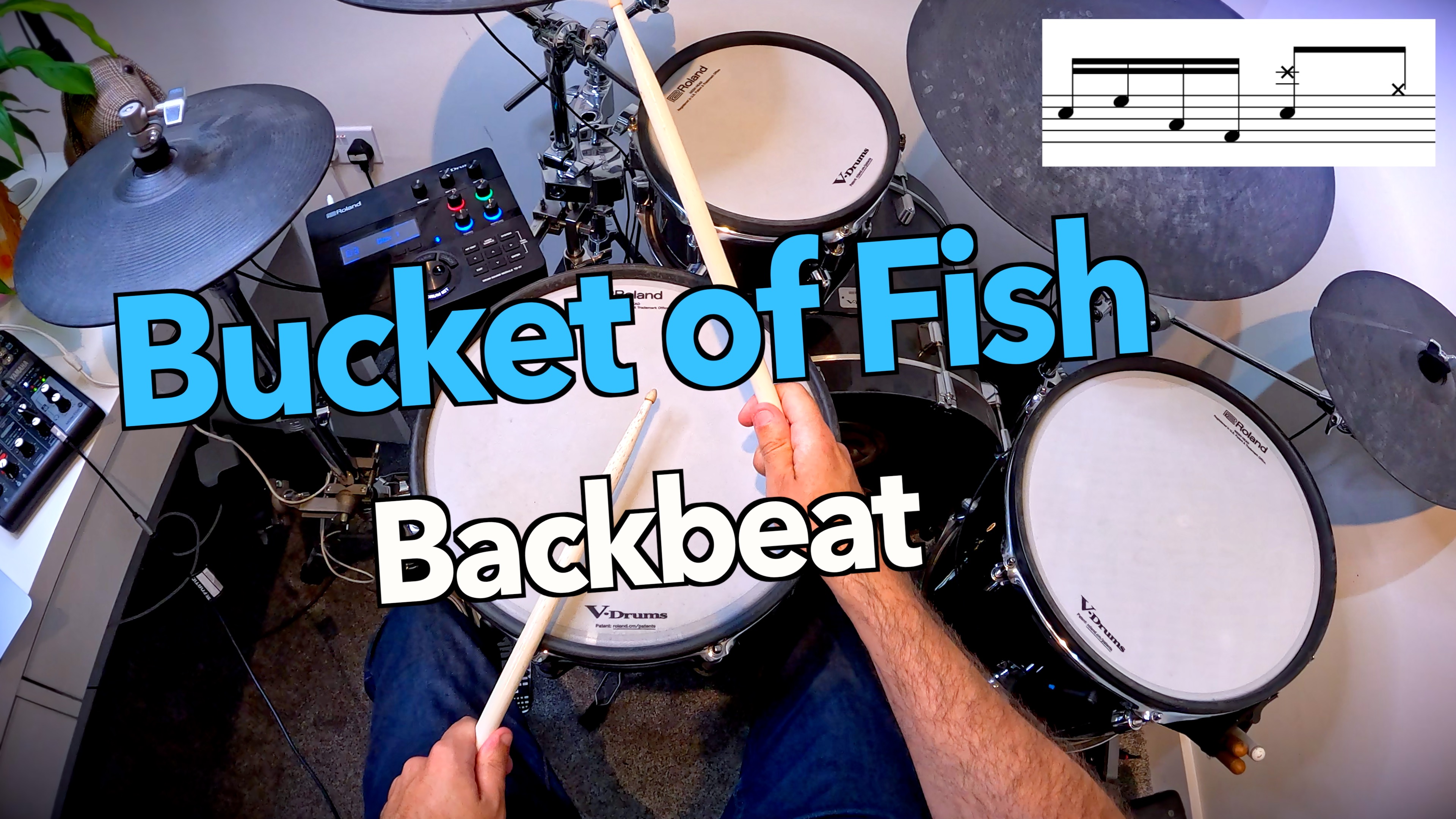 Bucket of Fish Backbeat
